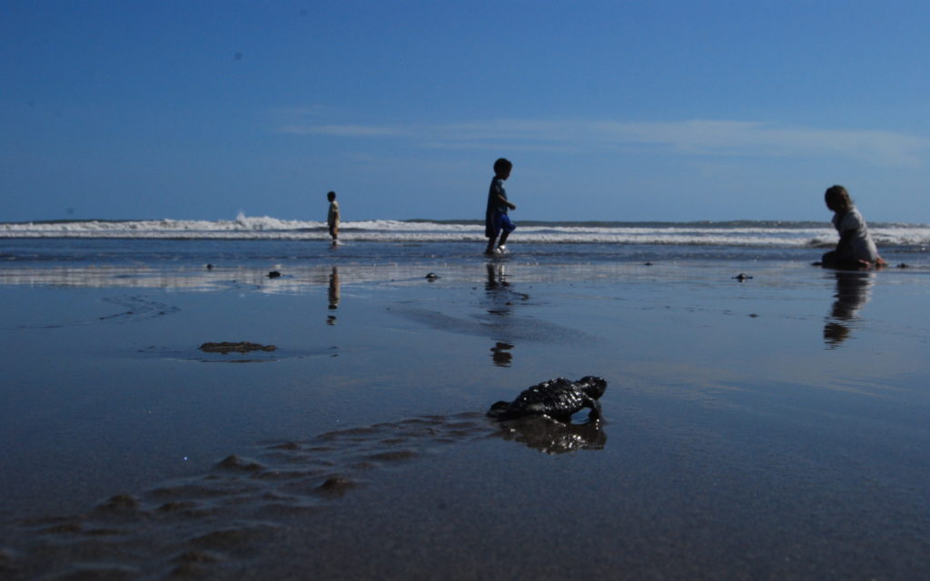 Isla de Tasajera