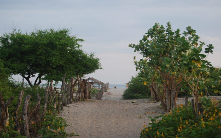 Isla de Tasajera